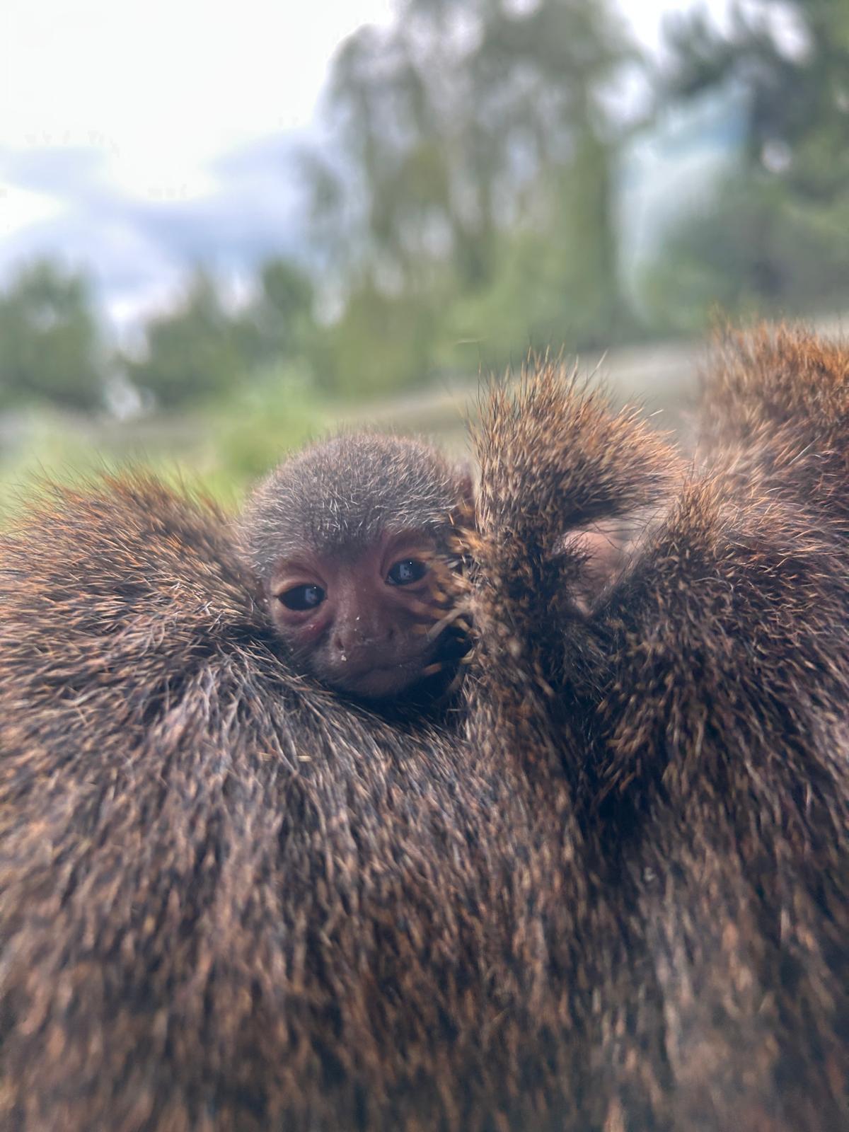 Whatsapp Image 2025 06 16 At 09.40.46 (1)