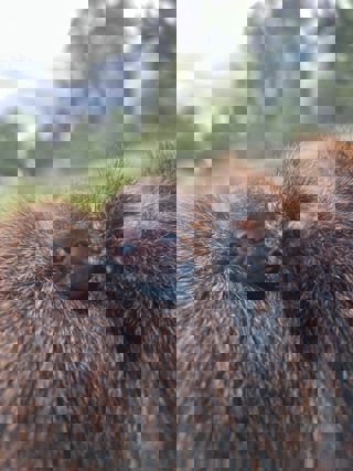 Whatsapp Image 2025 06 16 At 09.40.46 (1)