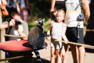 Ben Harrison Photography Www Benharrisonphotography Co Uk 53