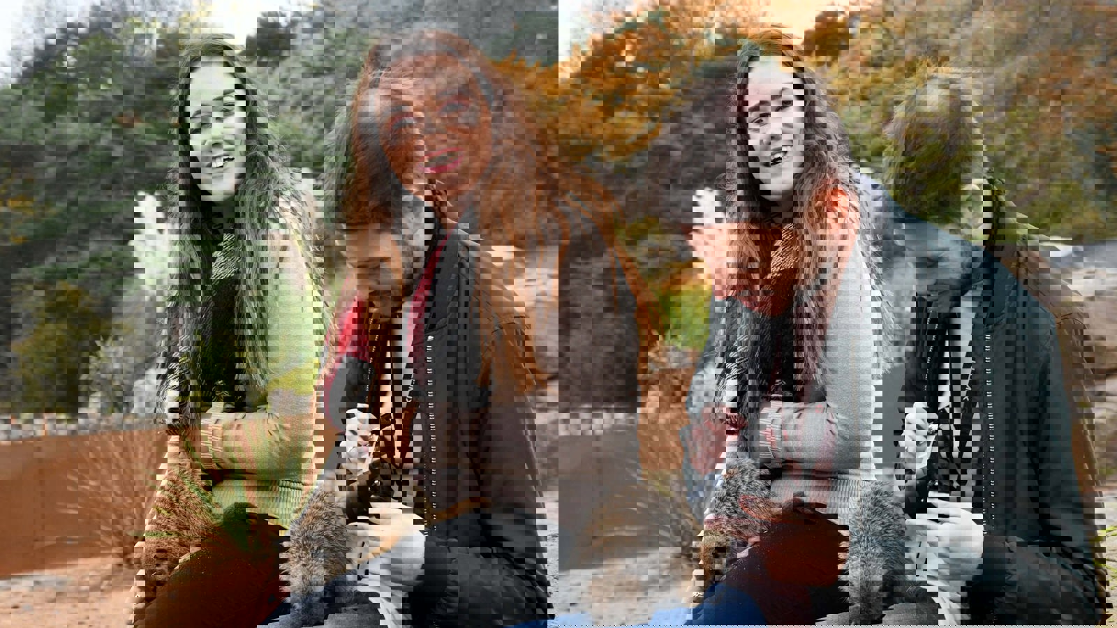 Dsc 9902