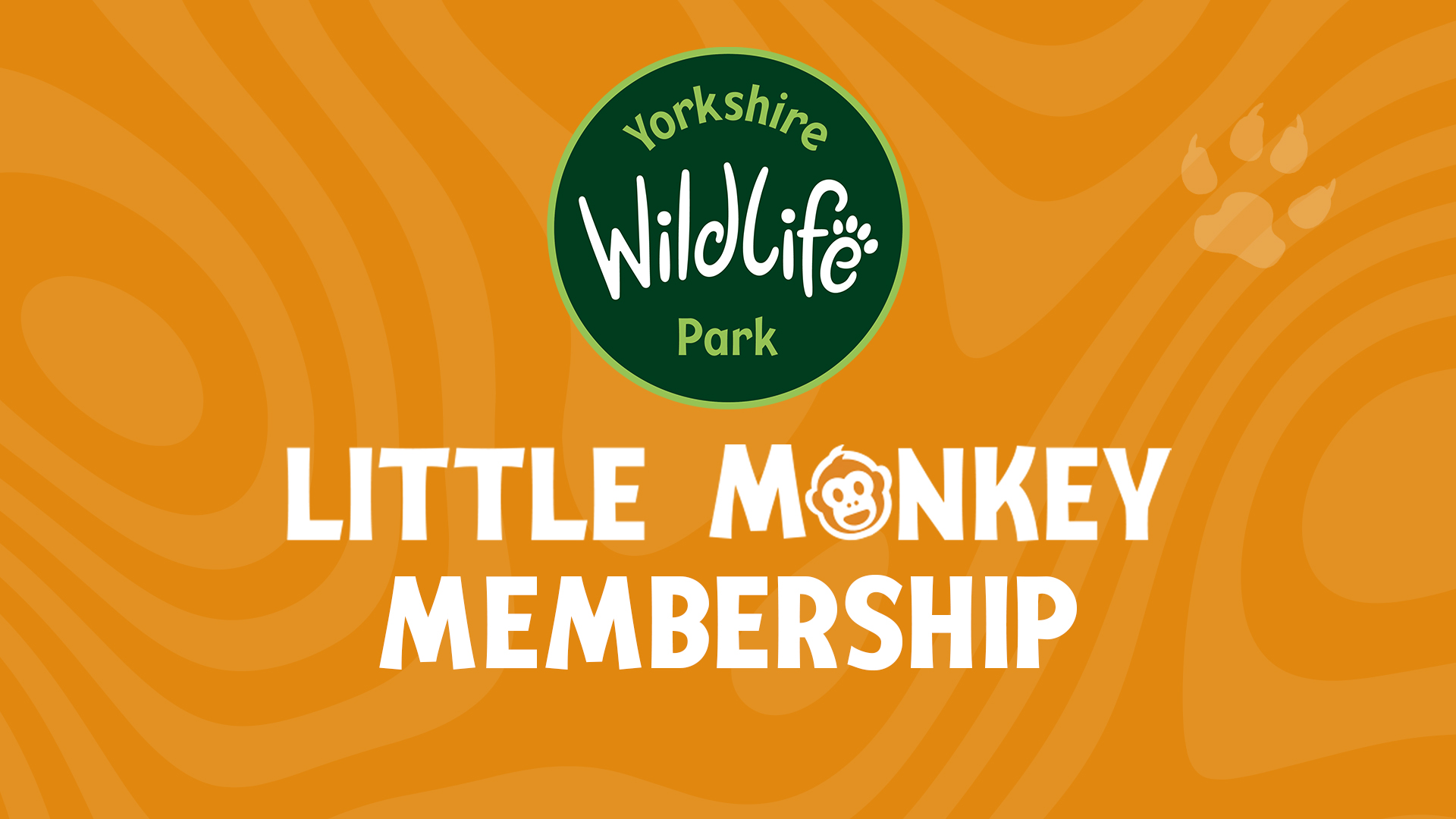 Little Monkey Membership