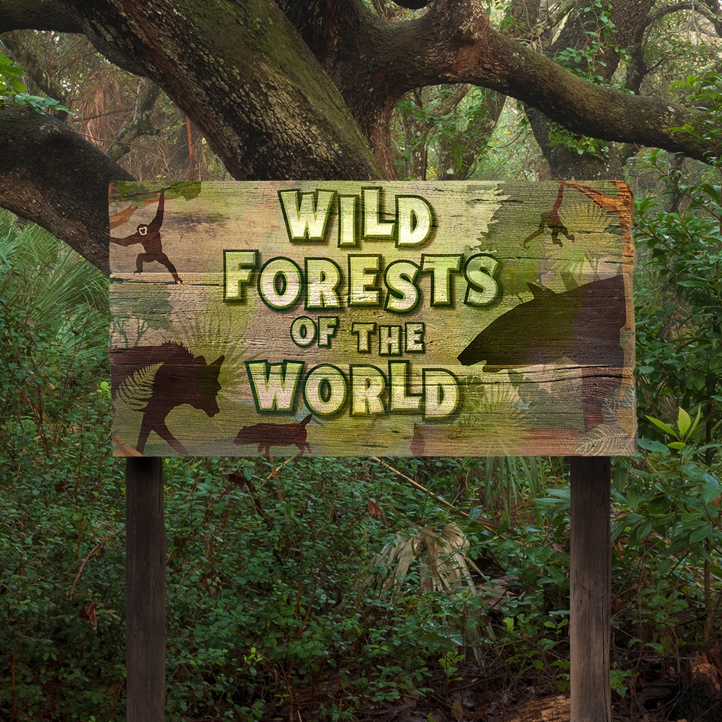 Wild Forests Of The World Carosel Copy