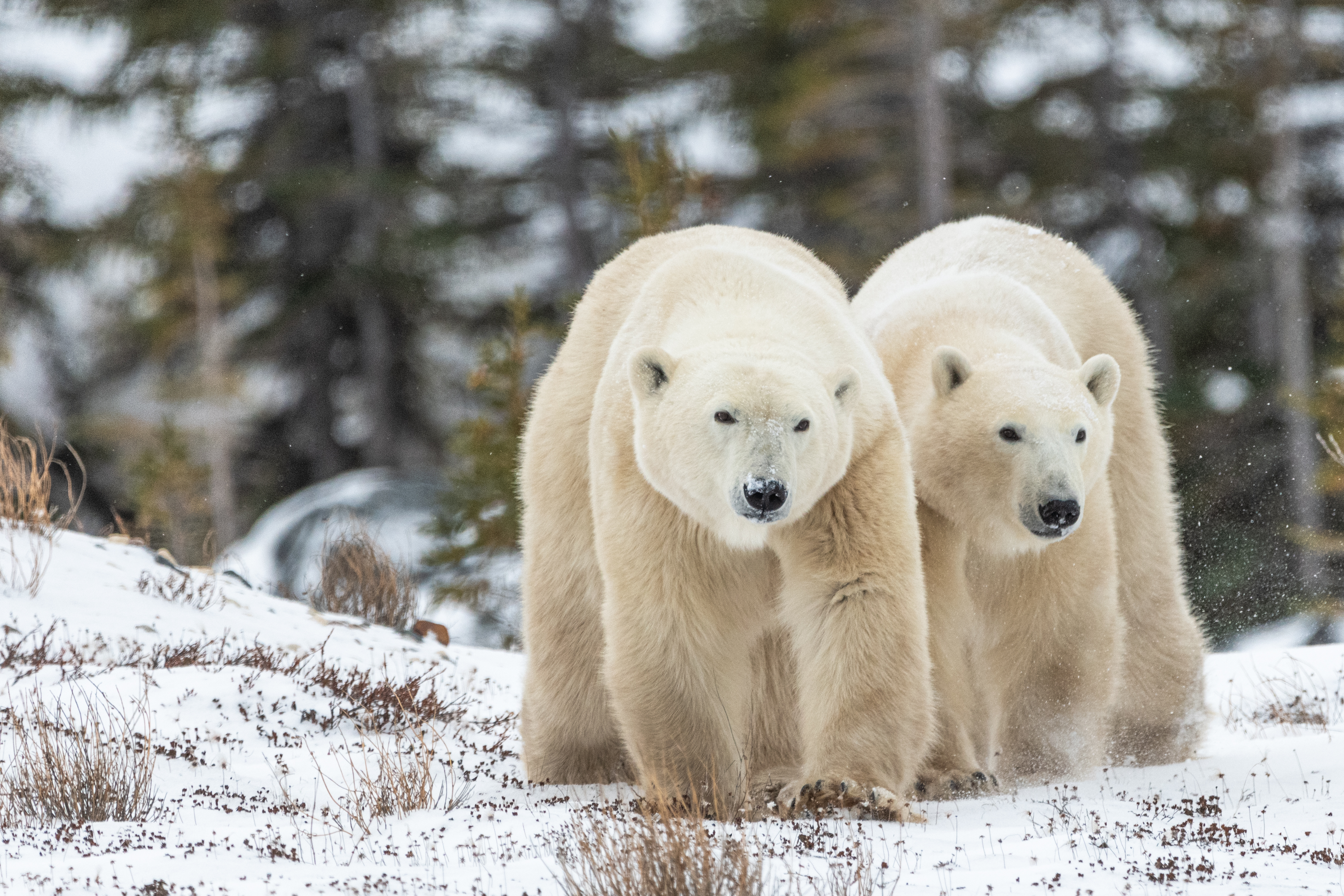 Adobestock 393695579