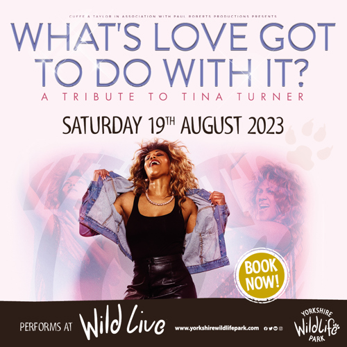 Ywp 2041 Tina Turner 1080 X 1080 Social