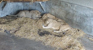 Screenshot 2025 10 29 At 10.46.30