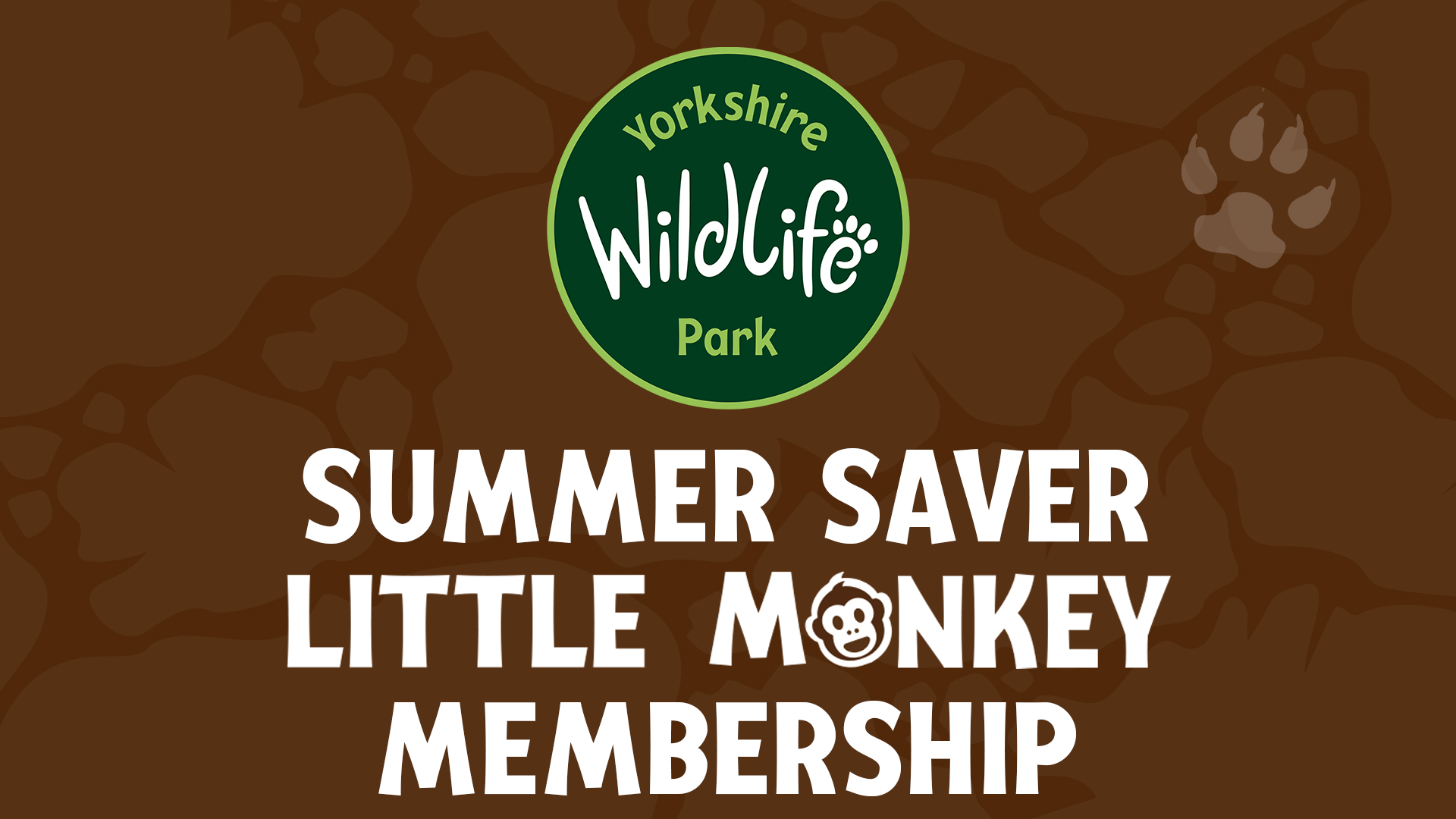 Summer Saver Little Monkey Membership