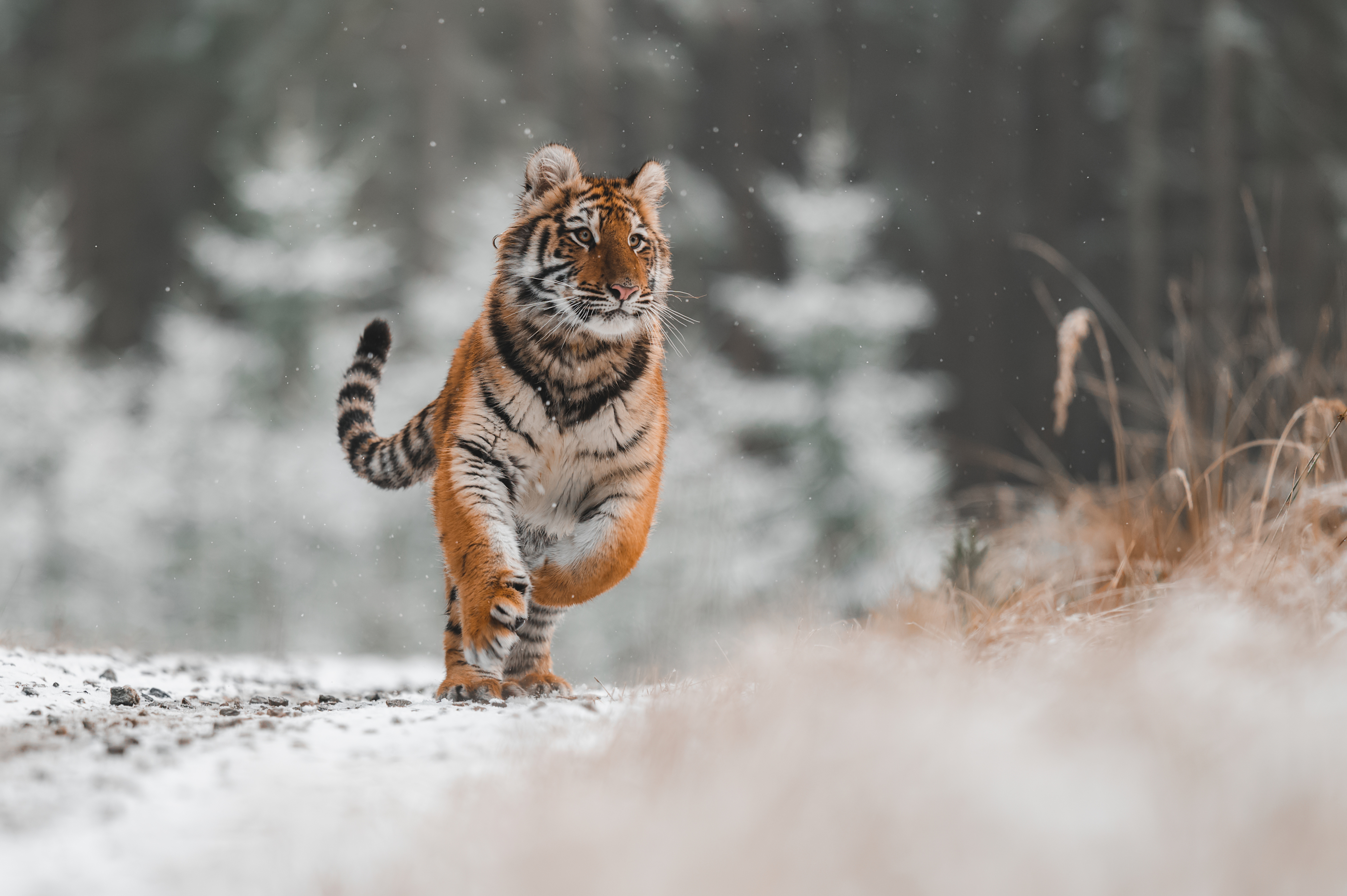 Adobestock 400620819