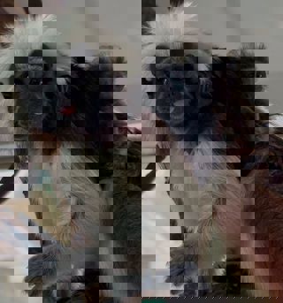 Photo 2025 02 17 10 50 00 2