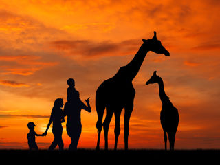 Night Out At The Zoo Test2