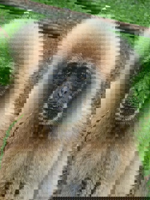 PHOTO 2026 01 03 21 22 11