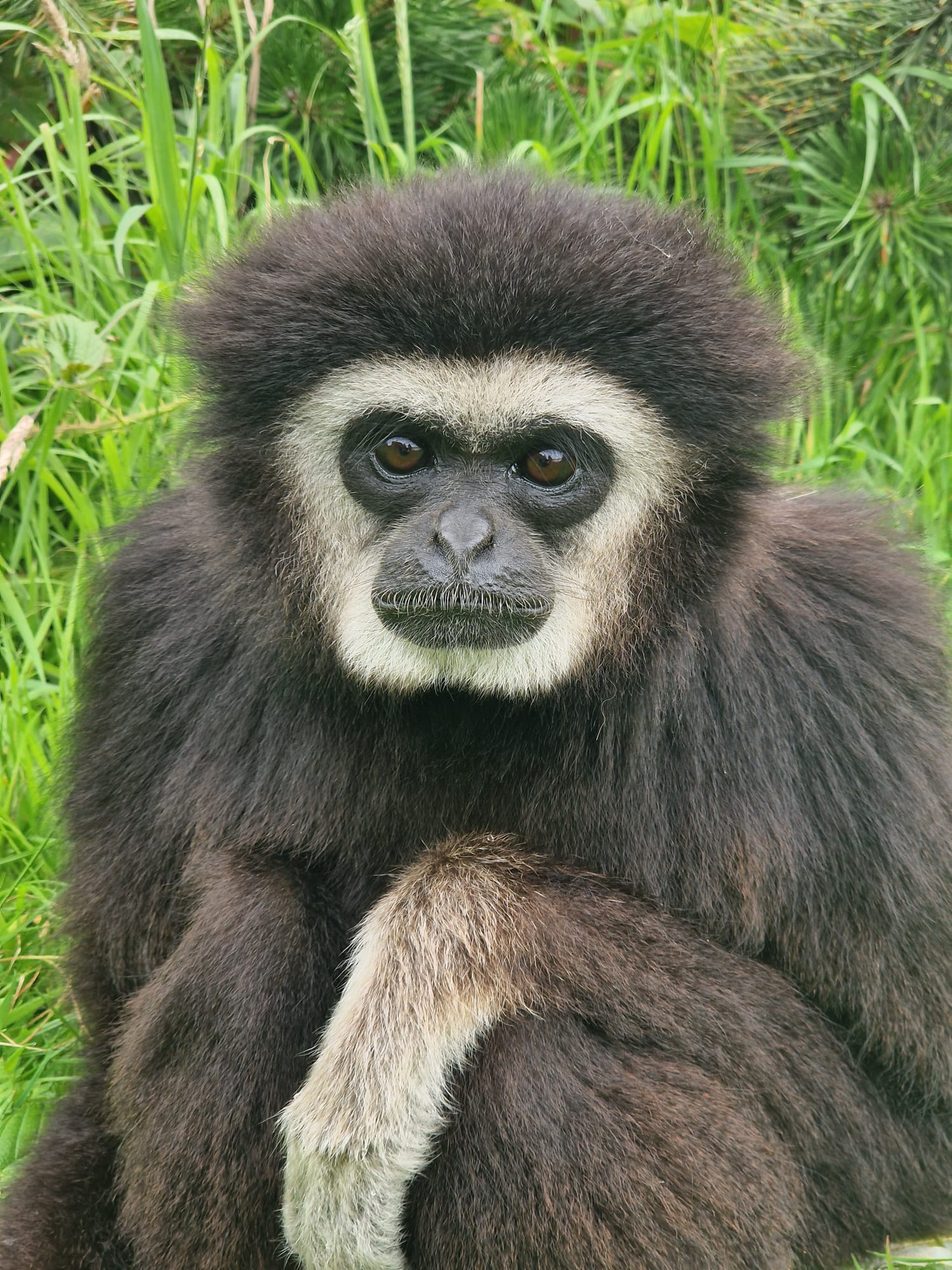 PHOTO 2026 01 03 21 22 11 3