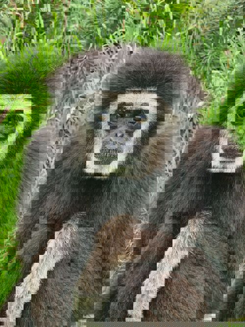 PHOTO 2026 01 03 21 22 11 3