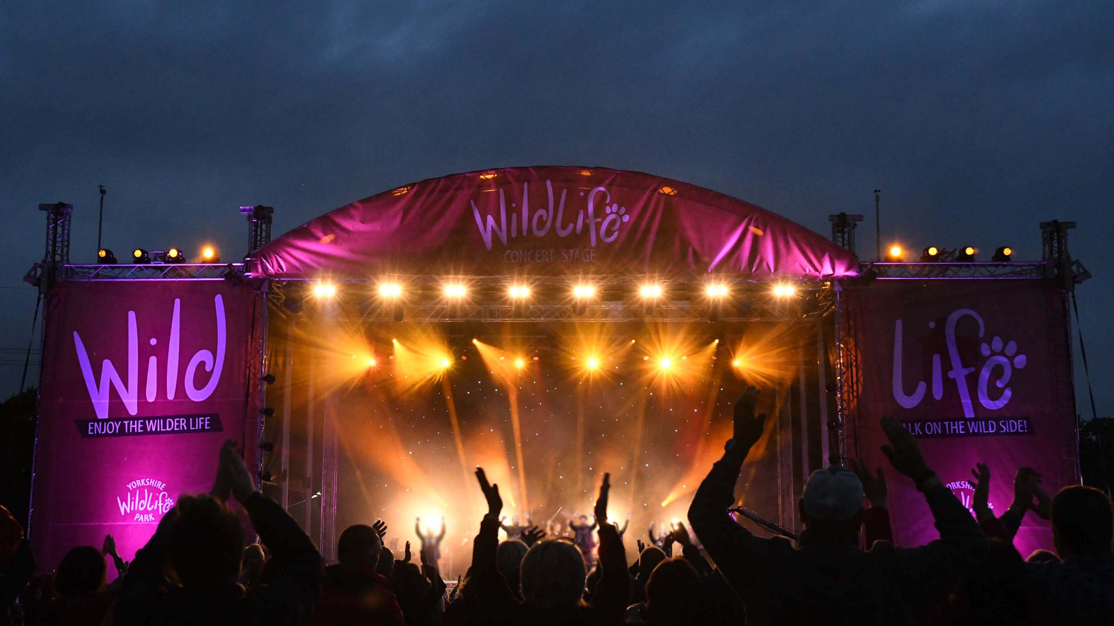 Wild Live Stage