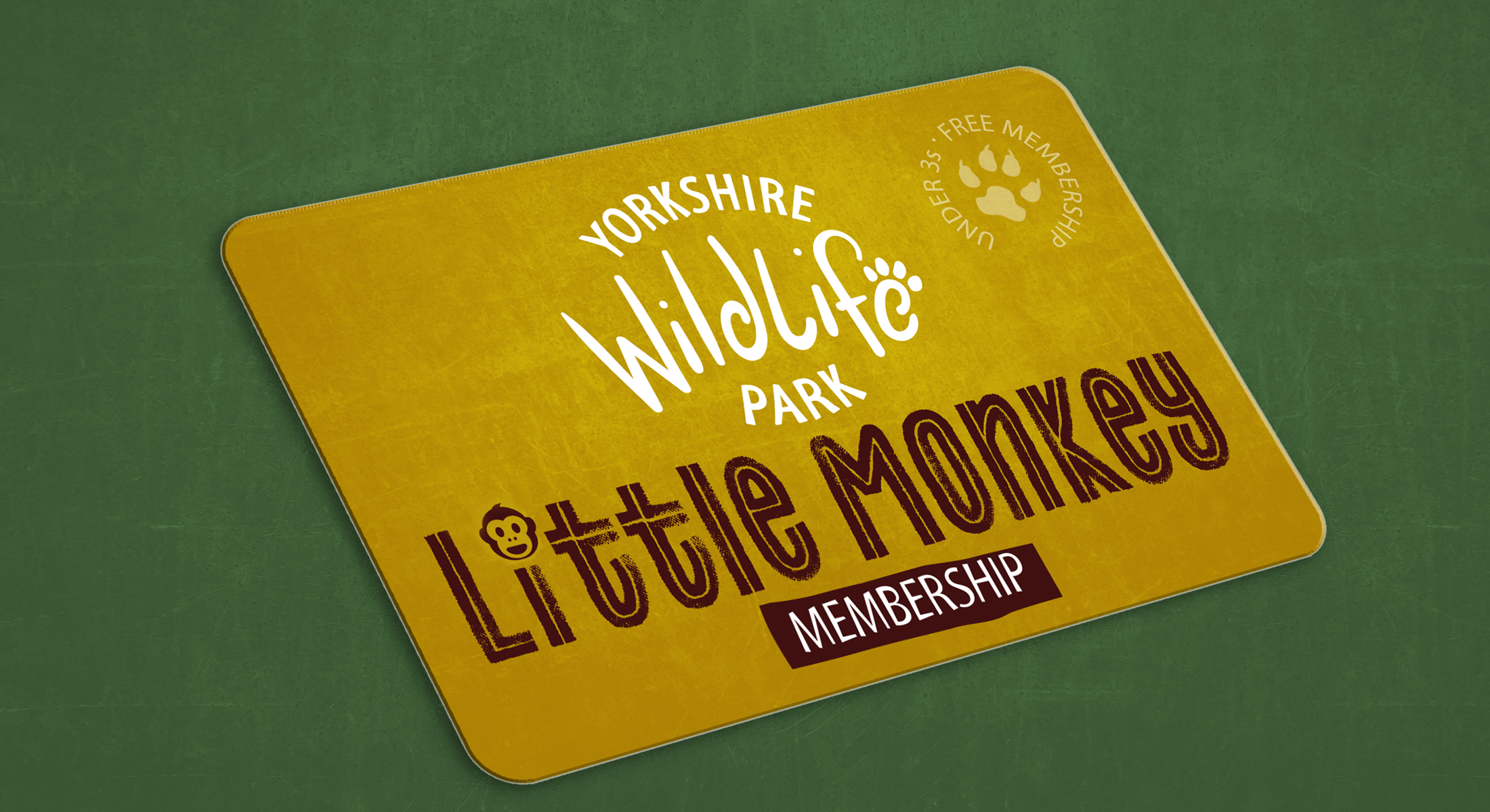 Ywp 2453 Little Monkey Membership