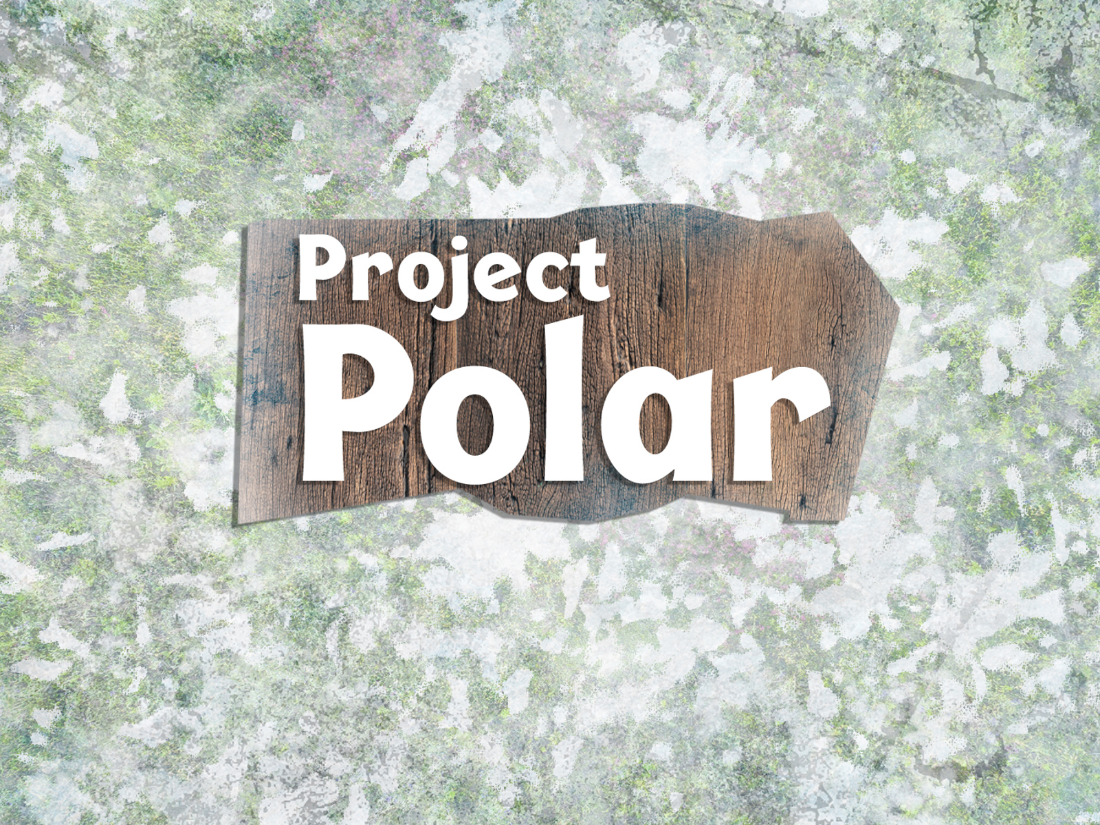 Project Polar Carousel