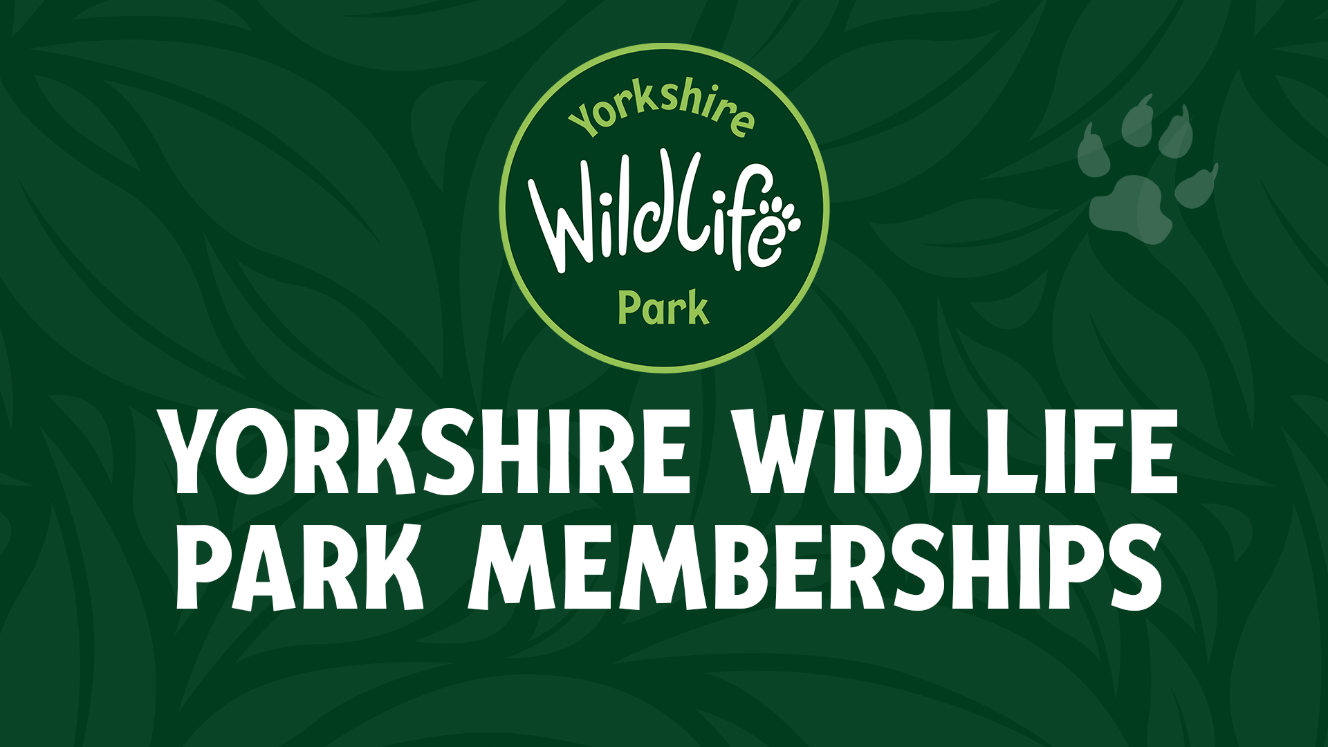 YWP Memberships