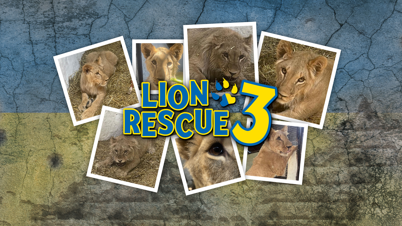 Lion Rescue 3 Hero Image