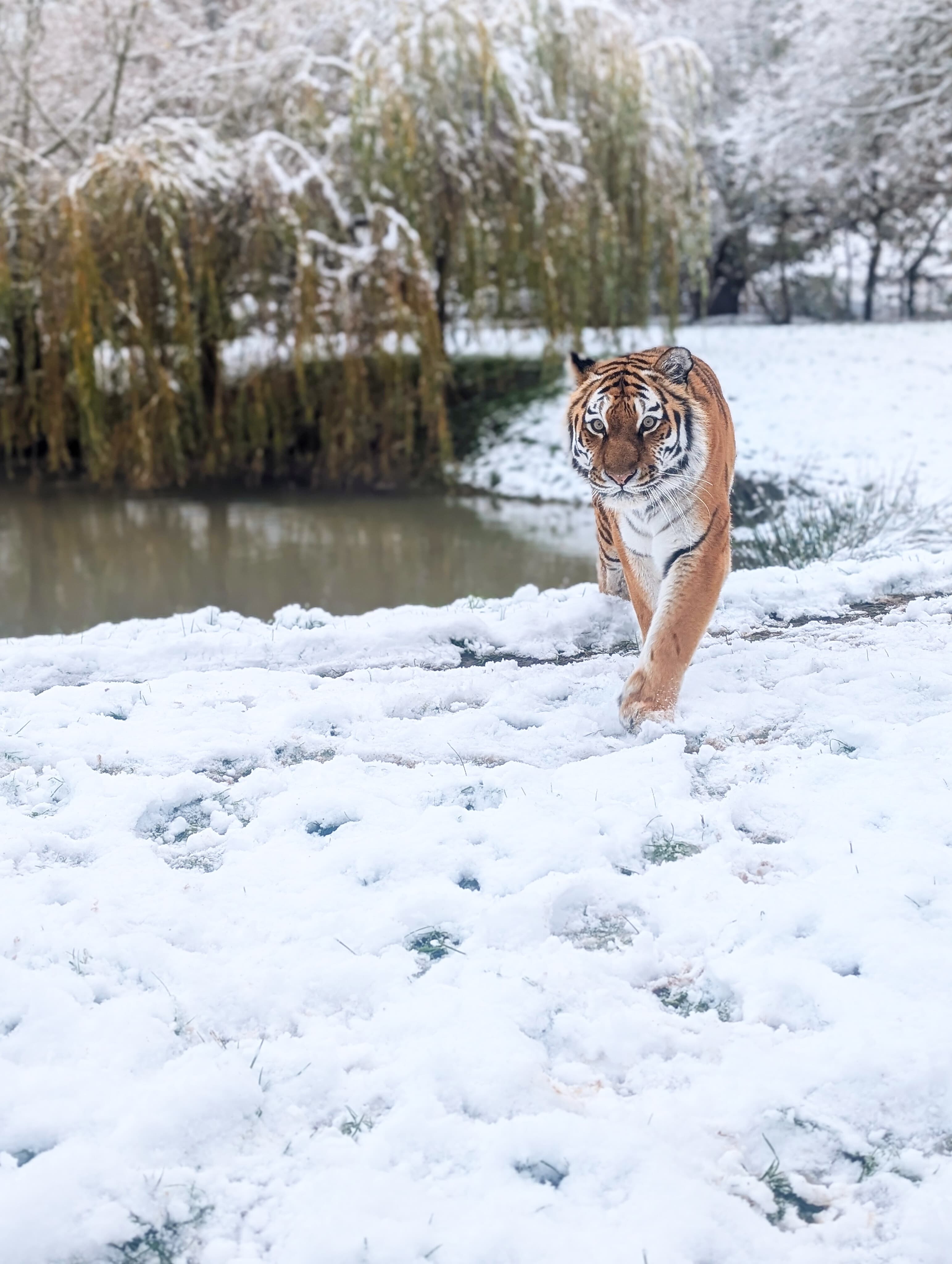 Whatsapp Image 2024 11 19 At 12 18 01 1