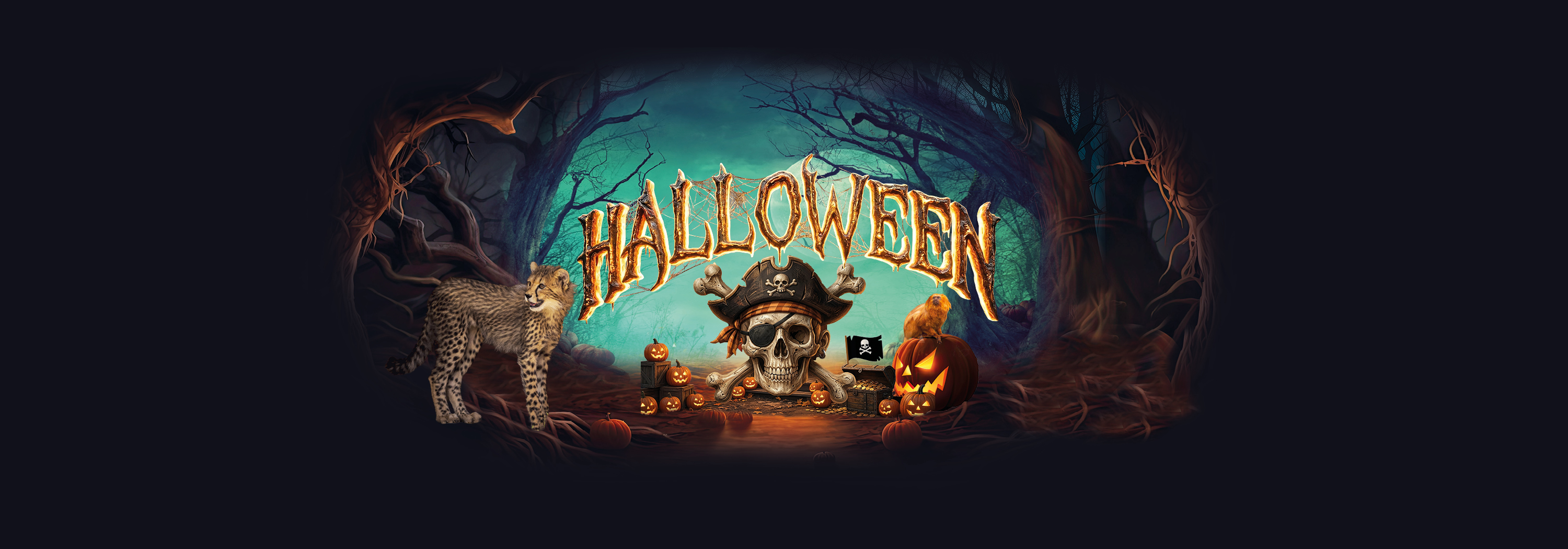 YWP 2984 New Halloween Web Carousel 3000 X 1050 V2