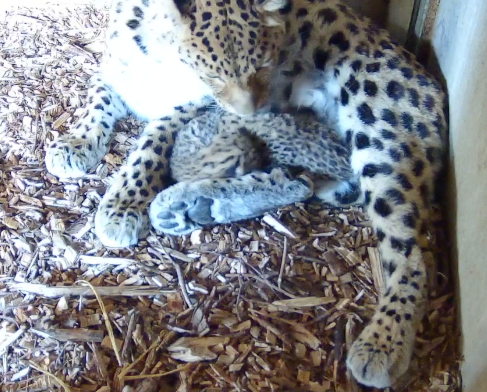 Whatsapp Image 2025 05 01 At 10.40.07