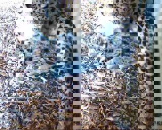 Whatsapp Image 2025 05 01 At 10.40.07