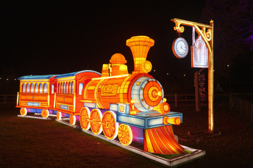 YWP Winter Lights 030