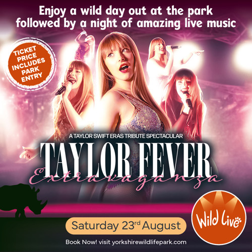 YWP 2673 Taylor Fever 1080 X 1080