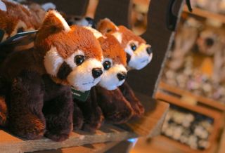 Small Red Panda Toy Copy