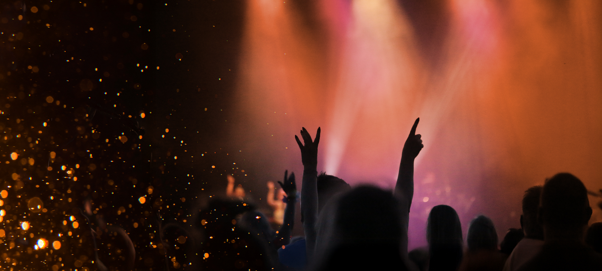 Wild Live 2025 Background