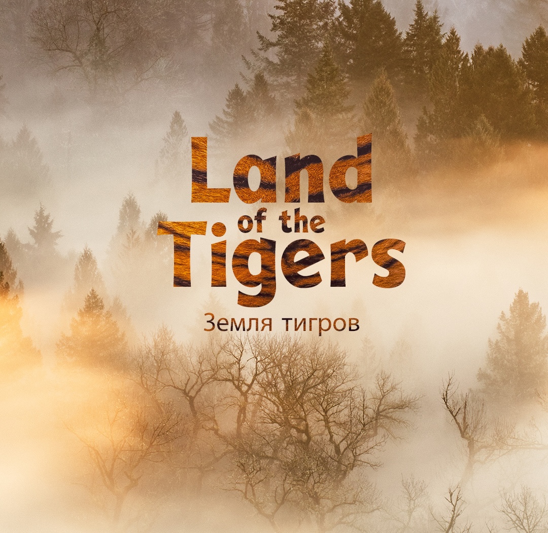 Land Of The Tigers Carousel Copy