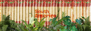 South America Carousel