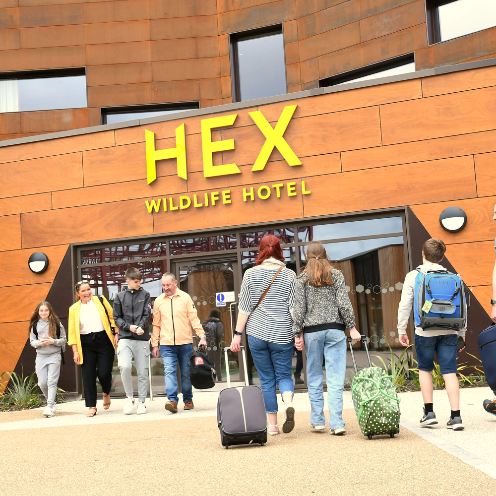 Dsc 3728 Hex Wildlife