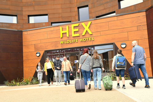 Dsc 3728 Hex Wildlife