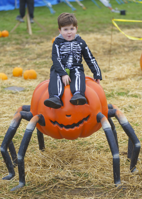 YWP Lets Go Halloween 026