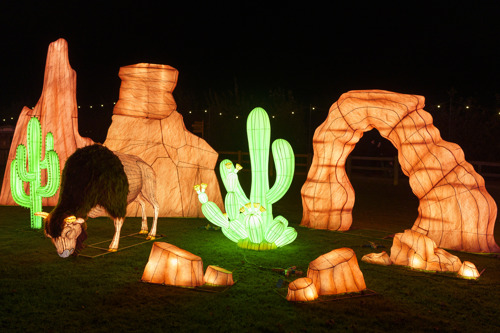 YWP Winter Lights 026