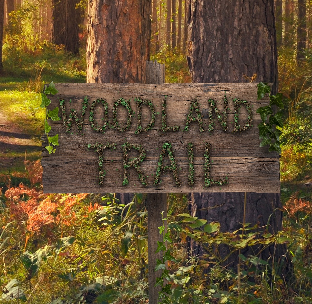 Woodland Trail Carousel Copy