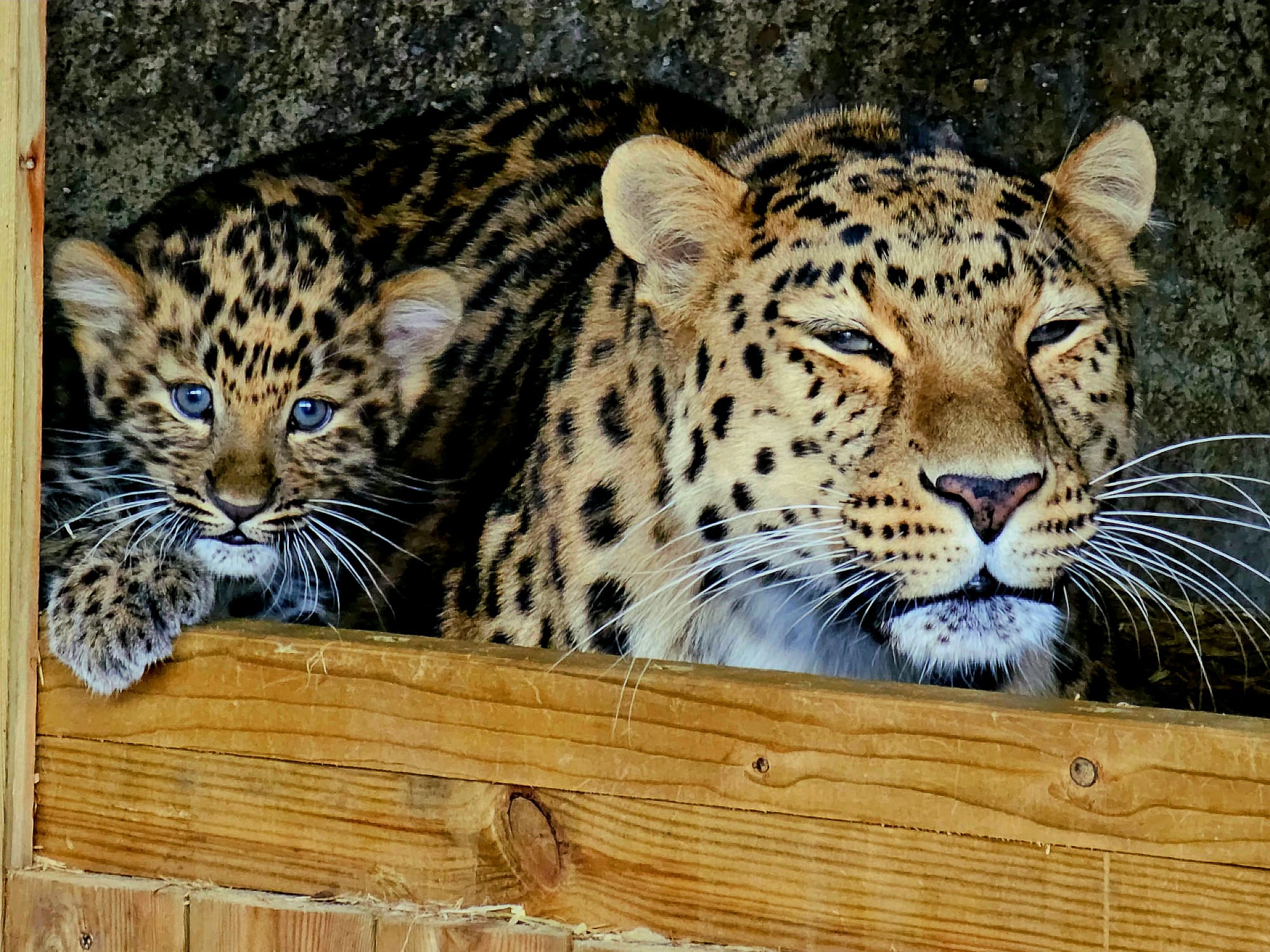 Photo 2023 08 18 10 50 59