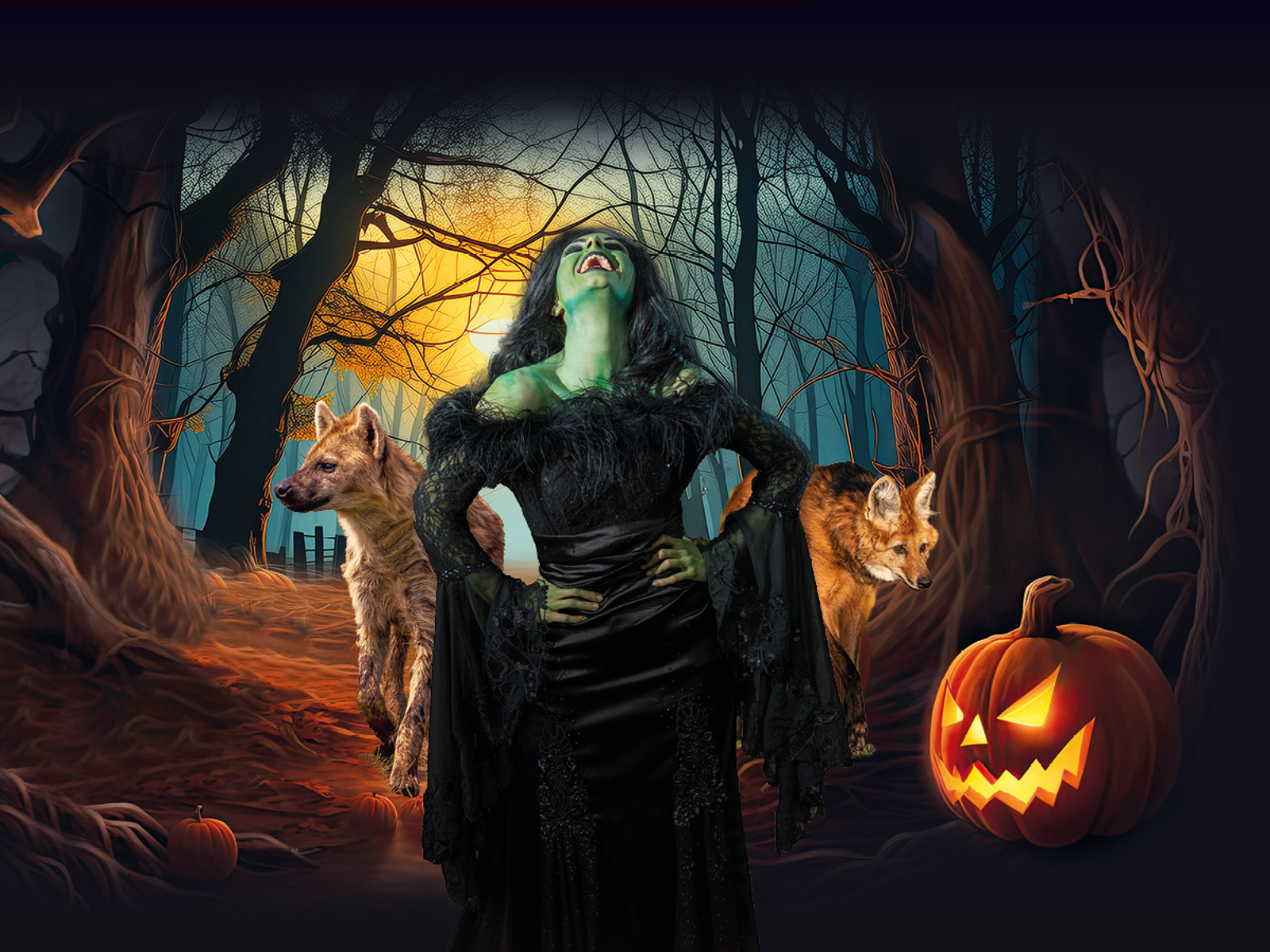 YWP 2758 Halloween Carousel V2