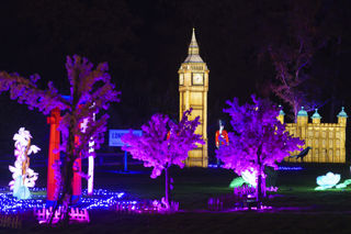 YWP Winter Lights 018