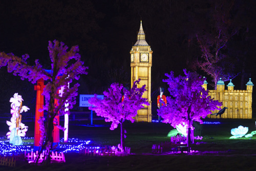 YWP Winter Lights 018