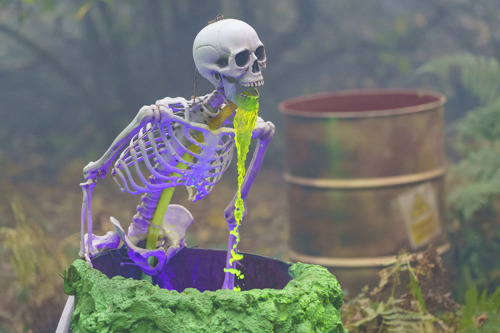 YWP Lets Go Halloween 117