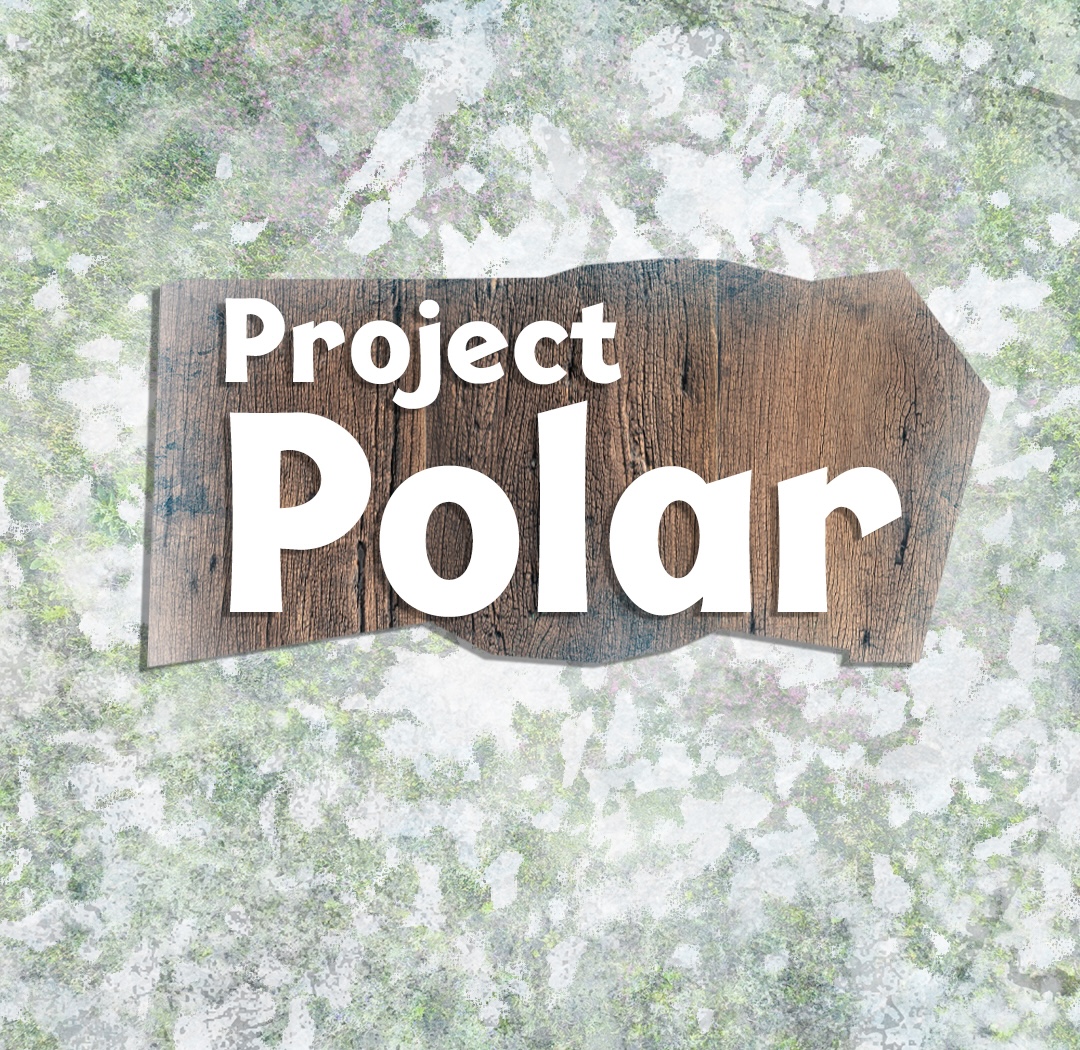 Project Polar Carousel Copy