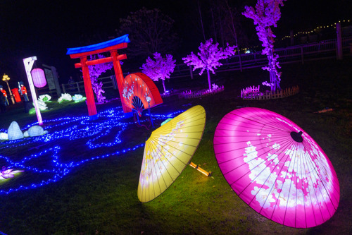 YWP Winter Lights 029