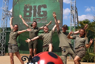Animal Rangers Big Bugs Live