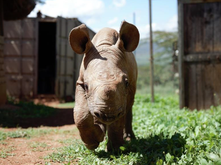 Screenshot 2024 07 12 At 12 20 55