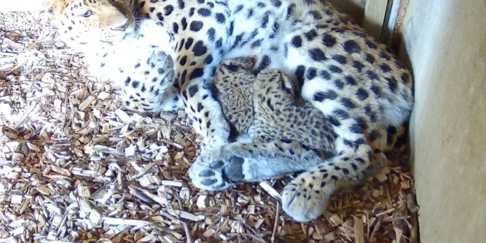 Whatsapp Image 2025 05 01 At 10.40.08 (2)